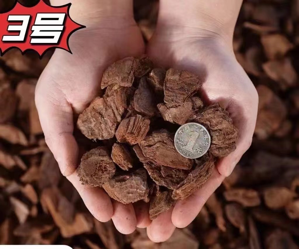 액티비티(2.5kg팩) 분해 3호 15-35mm 대형