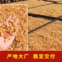 广东高州a级散货龙眼肉