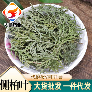 侧柏叶批发中药材侧柏叶青色柏树叶侧柏叶粉中草药侧柏叶常年大货-阿里巴巴