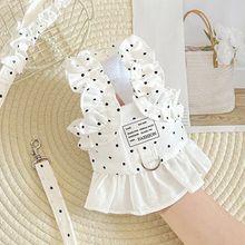 S6Y؈·K؈ÓKӌﹷR˹s