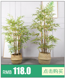 绿典植物关联_08.jpg
