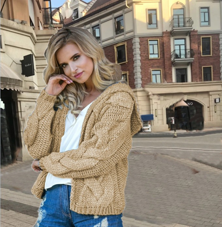Europeo y americano transfronterizo Amazon popular Comercio exterior Otoño e Invierno color sólido suéter con capucha superior hilo grueso giro suéter corto