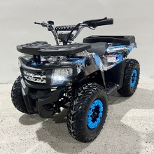 出口美国俄罗斯燃油机车儿童atv全地形车越野四轮休闲沙滩摩托车