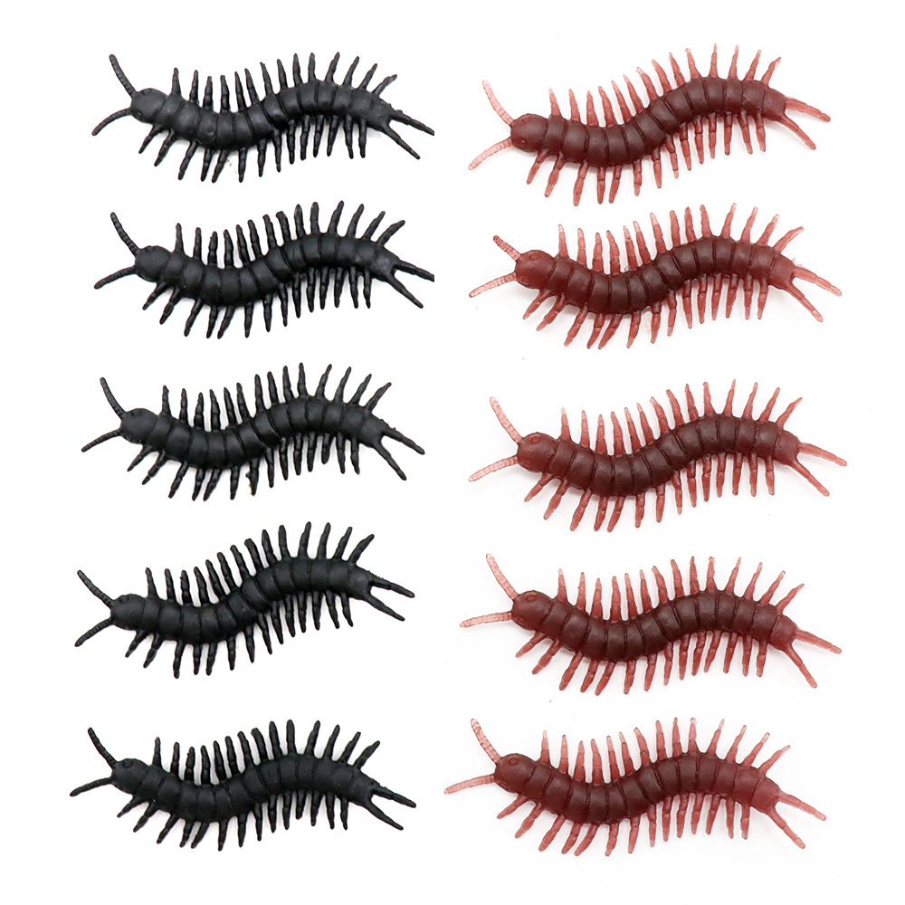 중간 지네 (6.5x3)