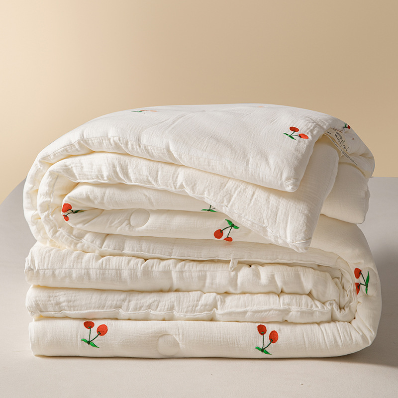 Colcha de soja de hilo de doble capa de invierno, colcha de invierno, colcha gruesa y cálida, núcleo, dormitorio individual, colcha de primavera y otoño