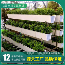 ������ˮ��ˮ�����������ˮ�� �e���S�⠝��ˮ��U�ηNֲ�����l