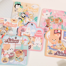 �羳NEKONI�ɐ�С�����D�伈�|�w��������؈��С���b����~�N��