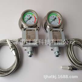 WTZd-285z防震测温表 防爆表 WTZD-285d