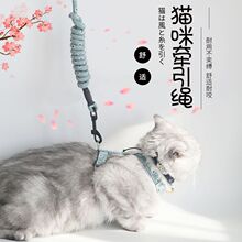 猫咪牵引绳防挣脱猫绳子遛猫绳猫胸背绳子幼猫链子可调节宠物用品