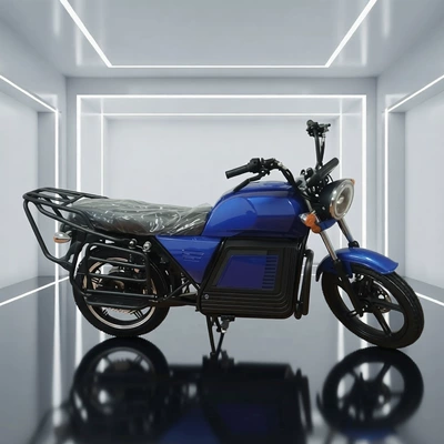 Elektrikli motosikletlər Motorcycle Wholesale D300 African