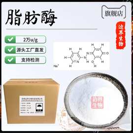 脂肪酶 食品级脂肪分解酶 酶制剂 原料 现货供应 2万u/g 1kg起订