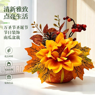 �W���F؛�f�}���}�Q���b��Ϲ������S�չ�������~̫ꖻ��廨�[��