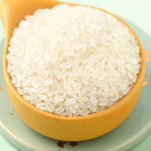 24�����ז|��������ѿ�����������´��׎���ѿԭѿ����δ�������