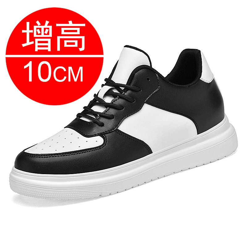 흑백 10CM 증가