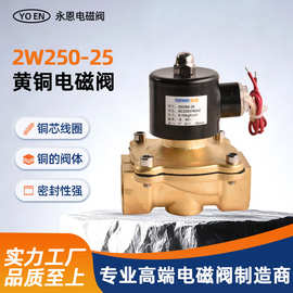 2W 黄铜电磁阀4分6分1寸1.2寸1.5寸2寸电磁阀 AC220V,DC24V,DC12V