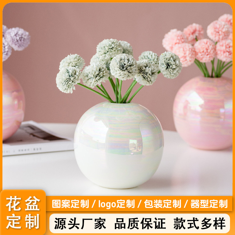 Jarrón de cerámica para plantas hidropónicas, decorativo