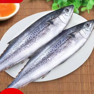 �R�o�~ �|ɽ�u���r�E�~���r���l�������~�Mœһ�����lֱ����