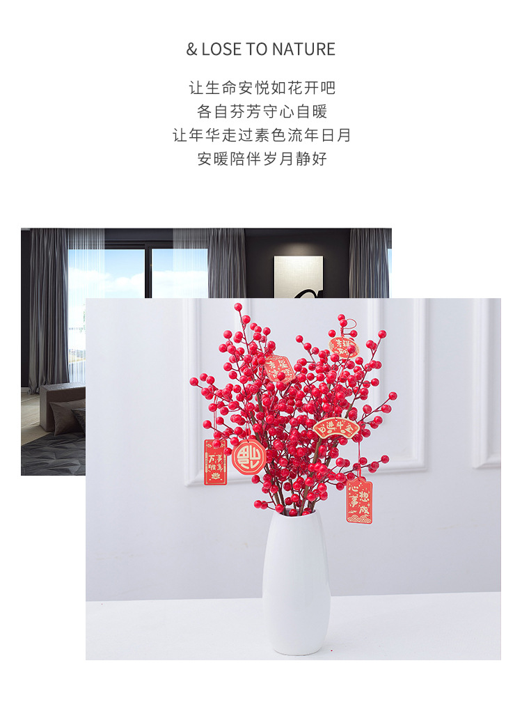 花瓶发财果详情_05