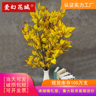���l�ٻ��~��ɽë�λ�c���滨�Ļ�Y��·���廨�Ƶ��b��Ҿ�