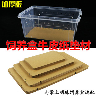 ����ţƤ���|�����x��B�����׉|�����������߱��y�،m�����߉|��