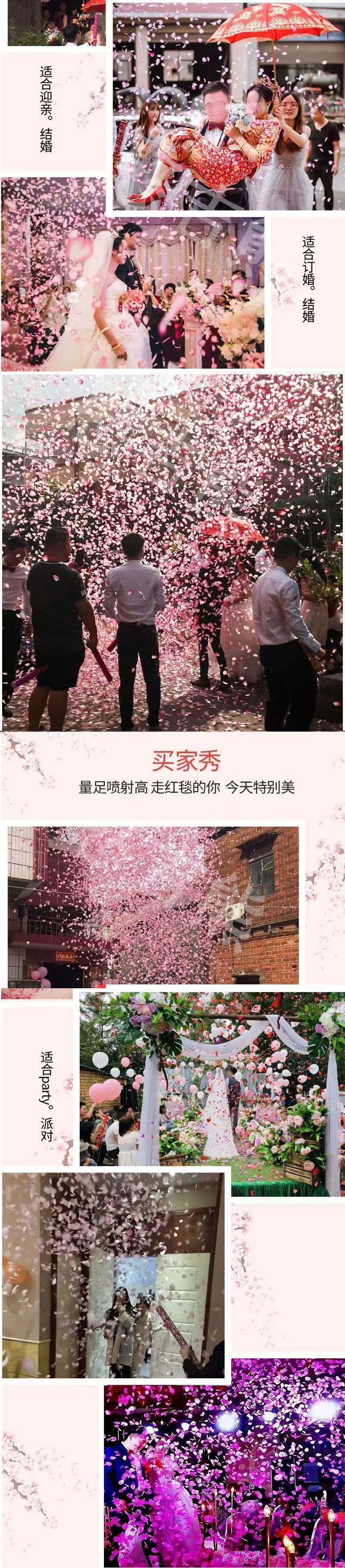 e609df57-9d71-406d-95f4-13a271bbe9de.jpe