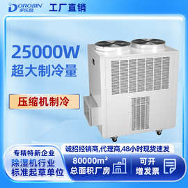 多乐信工业冷风机岗位降温压缩机制冷厨房移动空调DAKC250空调机