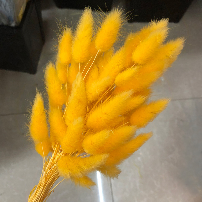 주황색 토끼꼬리 60개