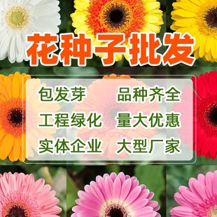 ���޾շN�ӷ��ɻ��ذ�ջ��N���̨�����ļ����^�G��ֲ�ﻨ�ܷN��