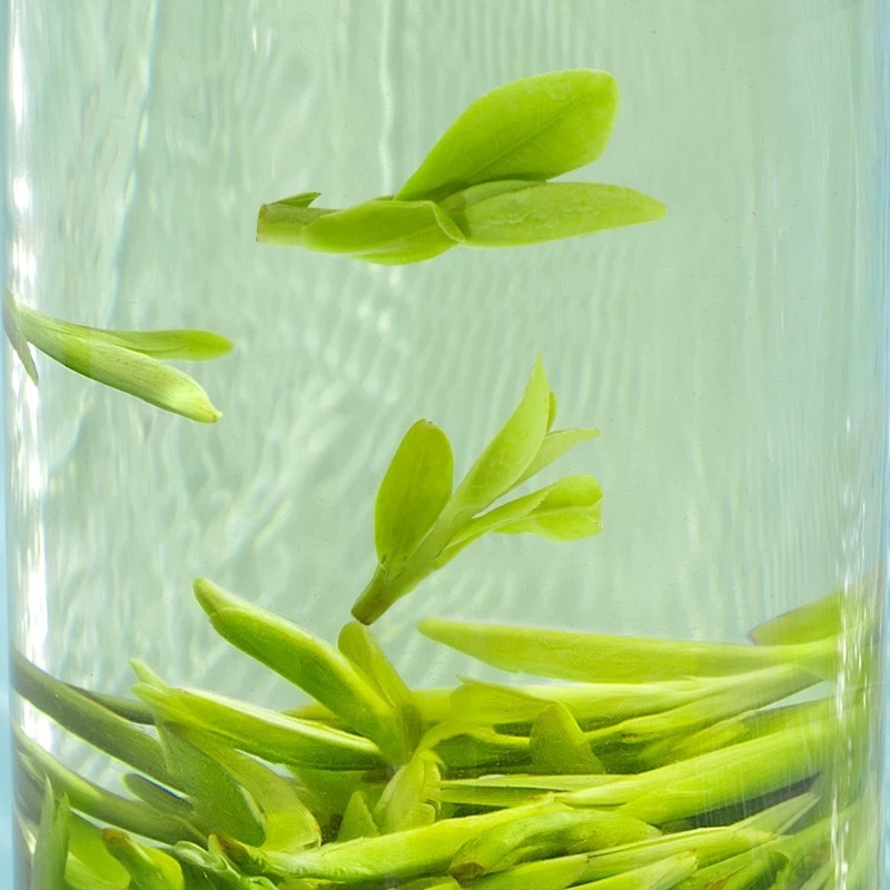 2025年新茶特级龙井正宗杭州明前嫩芽绿茶春茶250g罐装茶叶自己喝|undefined