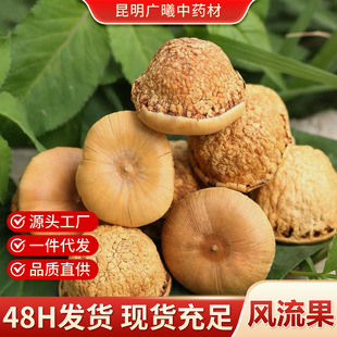 ���ڏV��Ұ���L��������Mʯ�^����؛��ș�����l�oѬ��oȾɫ