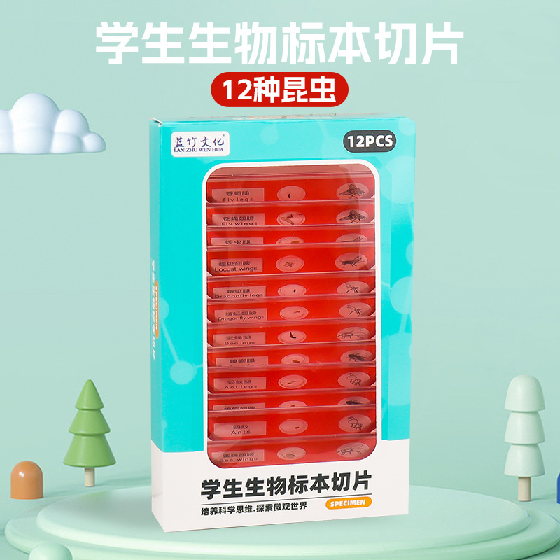 곤충 붉은 표본 (중국어)