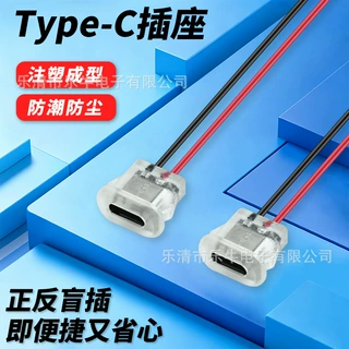 LN-001-1 透明外壳 Type-C 母座 2P 红黑引线 小型电器灯具充电口