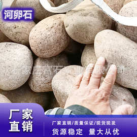 鹅卵石30-50cm石子鱼缸造景假山碎石厂家批发大石头变压器鹅卵石