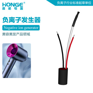 Hair Dryer Suitable for Small Negative Ion Generator Ac220V Anti-Static Smoothing Module Cqc Certified and Customizable