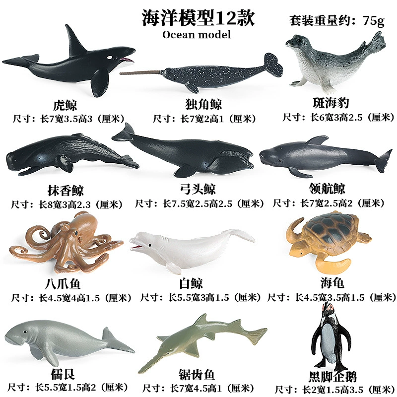 Cognitive realistic marine animal model, dinosaur, toy