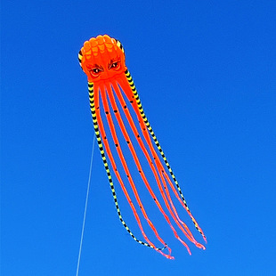 �¿�ܛ�w�L�~�h�����~��צ�~���͸ߙn���ˌ���΢�L���w���I3D���w