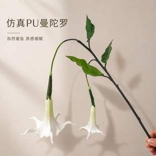 ���滨�ߙnPU�����_ �ҾӾƵ�ܛ�b�廨��c�bڒ촹�����ȼٻ�