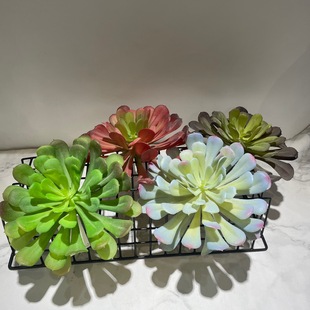 �������ֲ��ڷ���ʯɏ��΢���^ֲ��쾰�����b������϶���