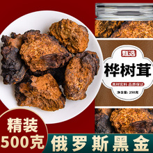 桦树茸俄罗斯进口旗舰店野生正品白桦树茸长白山华树茸颗粒的功效