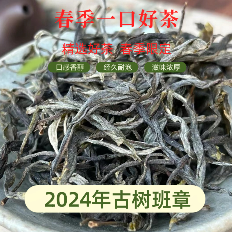 云南普洱茶生茶春茶散料勐海班章古树500g霸气回甘花香