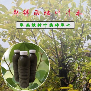 ���d�خa�����~֭�������ϠT�~����~֭����ˮ3���b���l