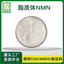 脂质体NMN 磷脂包裹β-烟酰胺单核苷酸  量大价优 现货