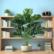 temu���Q����ֲ�������ֲ��������߶��p�͏d�҃���ؔ[������G