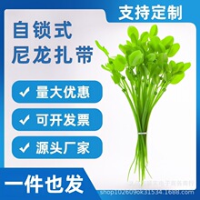 �S�����l�������������~�Ә��~�Gɫ�����F؛����