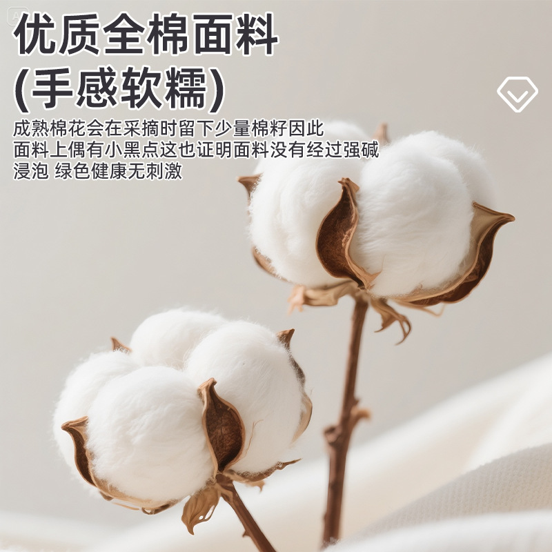 纯棉床上四件套100%全棉可裸睡家用单双人被套罩四季通用2025新款|undefined