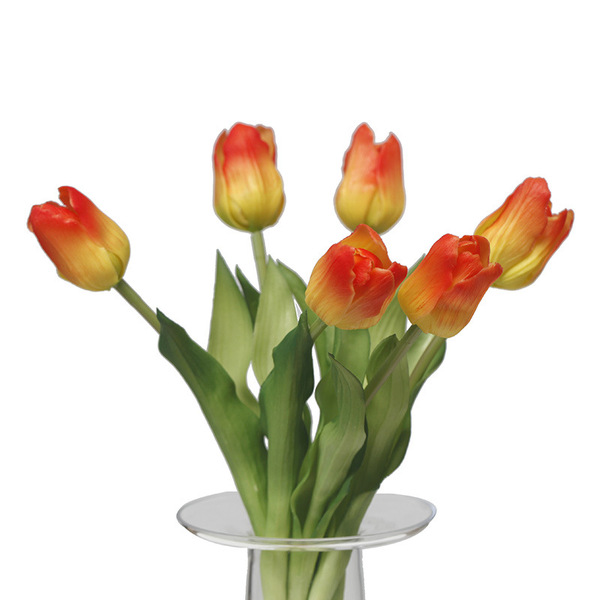 PE single-branch hand-touched tulips desktop ornaments photography…