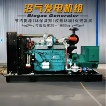 ��ֳ�������������150kw�ո�ȼ��100kw����380vˮ��������������