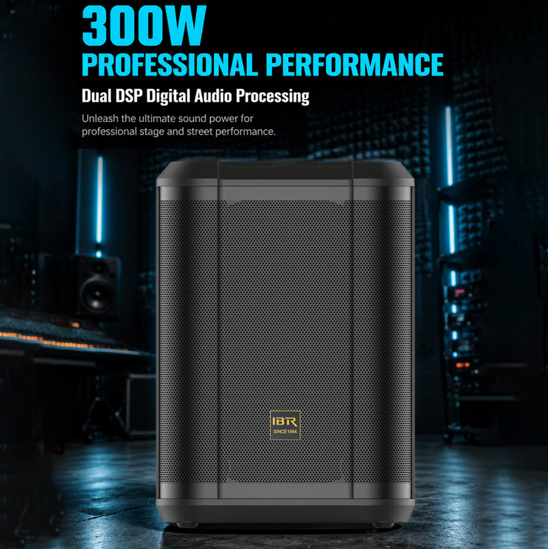Ibr High-Power Long-Lasting Dual-Dsp Professional Speaker for Outdoor Stage Live Performances and Guitar Use, Factory Custom-Made