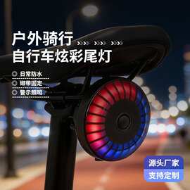 自行车灯尾灯充电夜骑灯山地车骑行灯警示装备配件单车公路车后灯