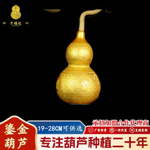 �̽���J�[���Ҿӿ͏d�Ʒ��ؔ��҆��w�YƷ�����^�k���Ҕ[��